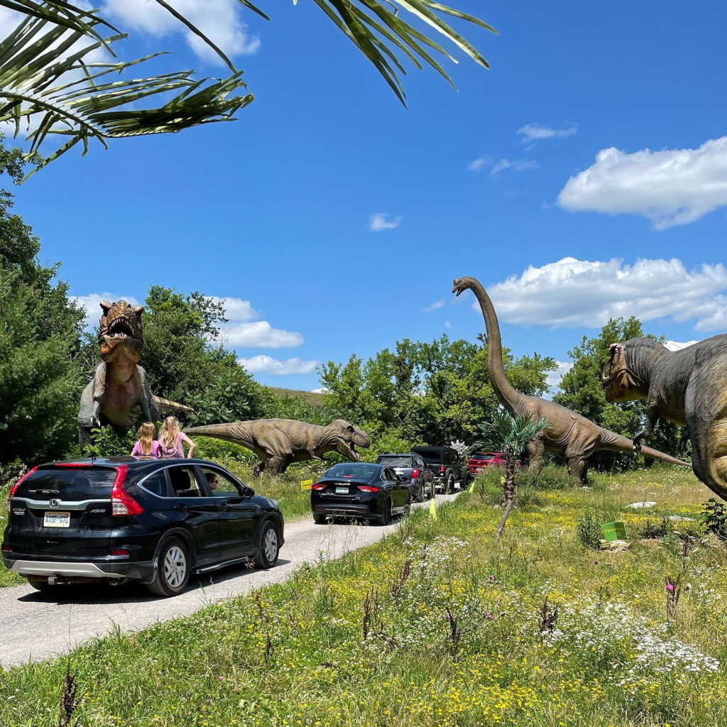 cars with kids on ther dinosaur drive thru
