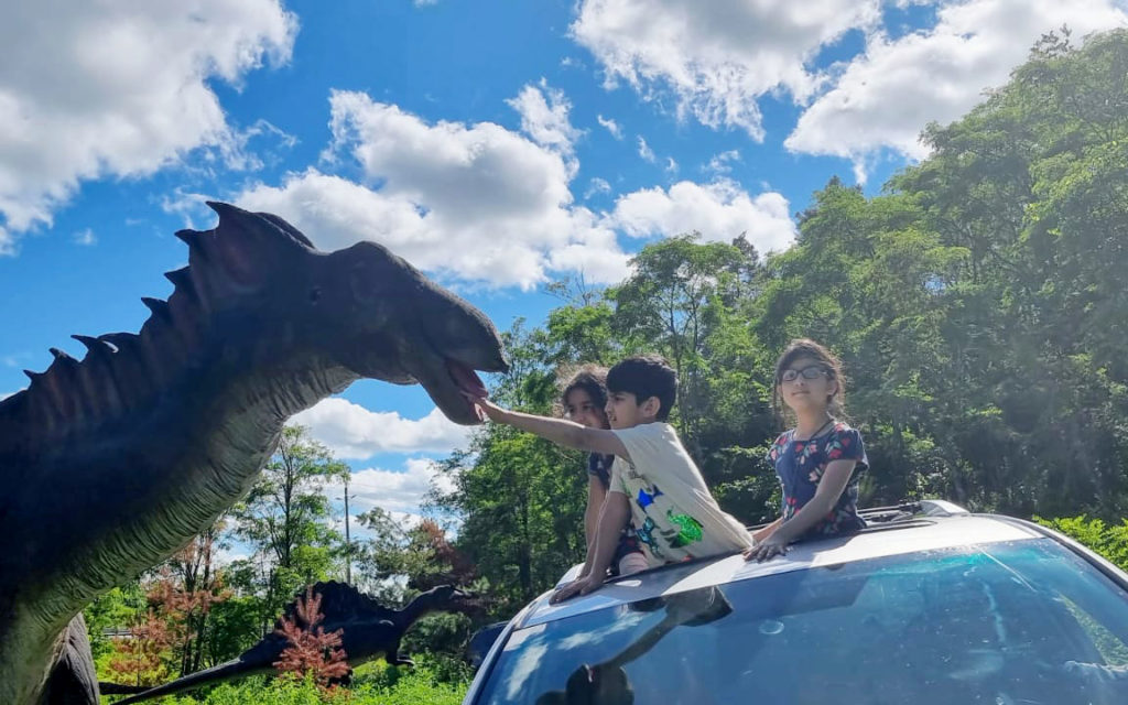 kids in car hanging out of the sunroof at canadas dinosaiur park drive thru 300